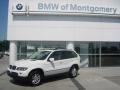 Alpine White - X5 3.0i Photo No. 2