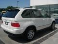 Alpine White - X5 3.0i Photo No. 6