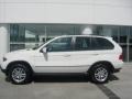 Alpine White - X5 3.0i Photo No. 8