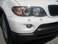 Alpine White - X5 3.0i Photo No. 9