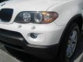Alpine White - X5 3.0i Photo No. 10
