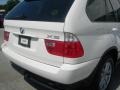 Alpine White - X5 3.0i Photo No. 12
