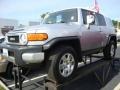 Titanium Metallic - FJ Cruiser 4WD Photo No. 2