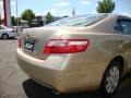 Desert Sand Mica - Camry XLE Photo No. 19