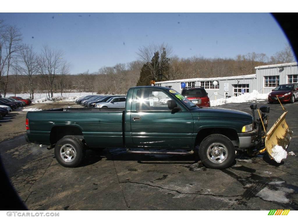 1999 Ram 1500 ST Regular Cab 4x4 - Forest Green Pearl / Mist Gray photo #9