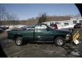 1999 Forest Green Pearl Dodge Ram 1500 ST Regular Cab 4x4  photo #9