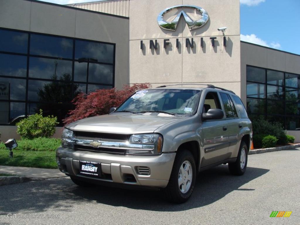 2003 TrailBlazer LS 4x4 - Light Pewter Metallic / Medium Oak photo #1