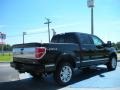 2010 Tuxedo Black Ford F150 Platinum SuperCrew 4x4  photo #3