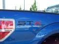 2010 Blue Flame Metallic Ford F150 STX SuperCab 4x4  photo #6