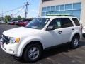 2010 White Suede Ford Escape XLT  photo #1