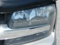 Light Pewter Metallic - TrailBlazer LS 4x4 Photo No. 9