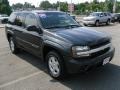 Dark Gray Metallic - TrailBlazer LS Photo No. 5