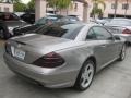 2005 Pewter Metallic Mercedes-Benz SL 500 Roadster  photo #3