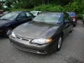 Medium Bronzemist Metallic - Monte Carlo LS Photo No. 4