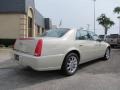 2010 Vanilla Latte Cadillac DTS Luxury  photo #6