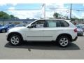 Alpine White - X5 3.0si Photo No. 15