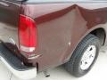 Chestnut Metallic - F150 XLT SuperCab Photo No. 20