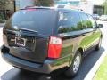 2010 Midnight Black Kia Sedona LX  photo #2