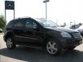 Black - ML 350 4Matic Photo No. 4