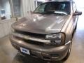 Graystone Metallic - TrailBlazer LS 4x4 Photo No. 2