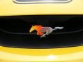 2004 Screaming Yellow Ford Mustang Mach 1 Coupe  photo #30