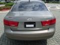 Willow Gray - Sonata GLS Photo No. 4