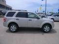 2008 Light Sage Metallic Ford Escape XLT  photo #2