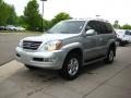 Silver Pine Metallic - GX 470 Photo No. 3