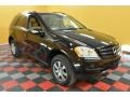 Black - ML 350 4Matic Photo No. 1