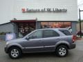 Alpine Gray - Sorento EX 4WD Photo No. 1