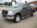 Dark Shadow Grey Metallic - F150 XLT SuperCrew 4x4 Photo No. 3