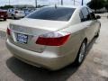 2009 Champagne Beige Metallic Hyundai Genesis 4.6 Sedan  photo #3