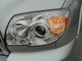Titanium Metallic - 4Runner SR5 Photo No. 10