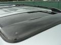 Titanium Metallic - 4Runner SR5 Photo No. 19