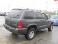 2002 Graphite Metallic Dodge Durango Sport 4x4  photo #6