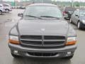 Graphite Metallic - Durango Sport 4x4 Photo No. 9