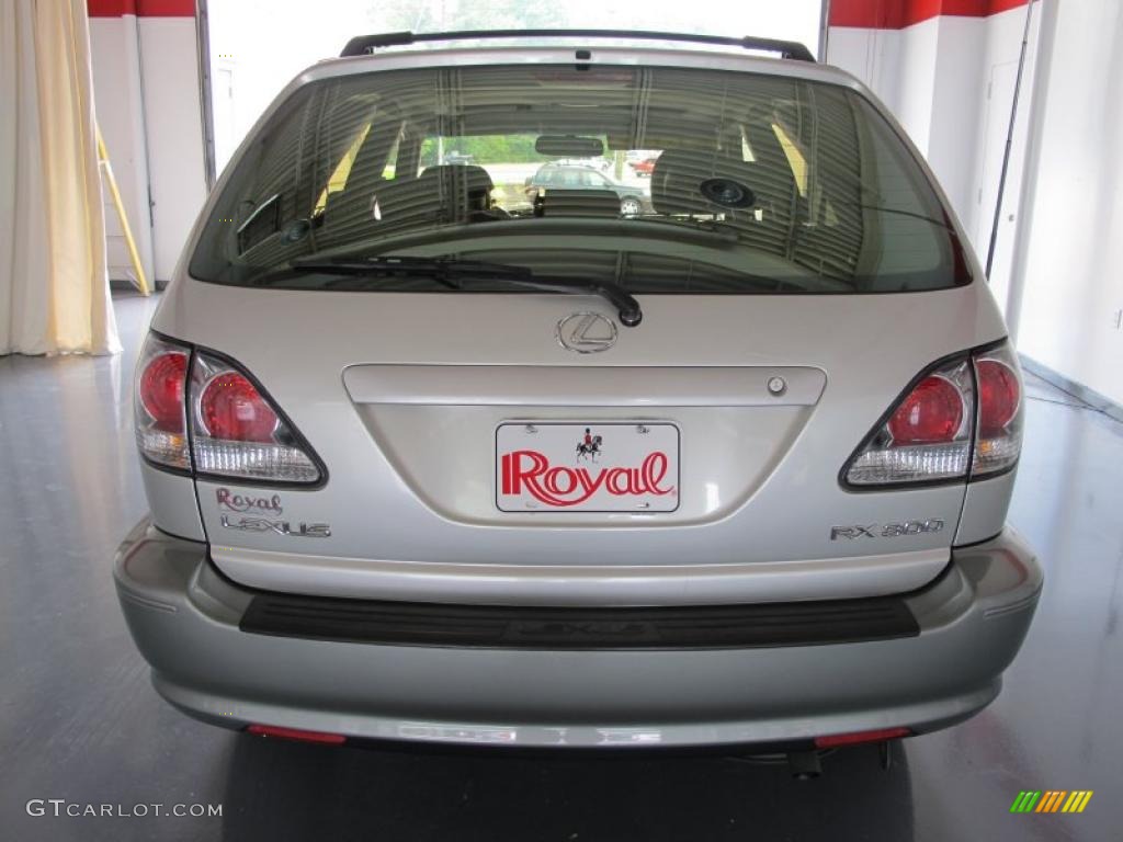 2003 RX 300 - Millenium Silver Metallic / Black photo #5