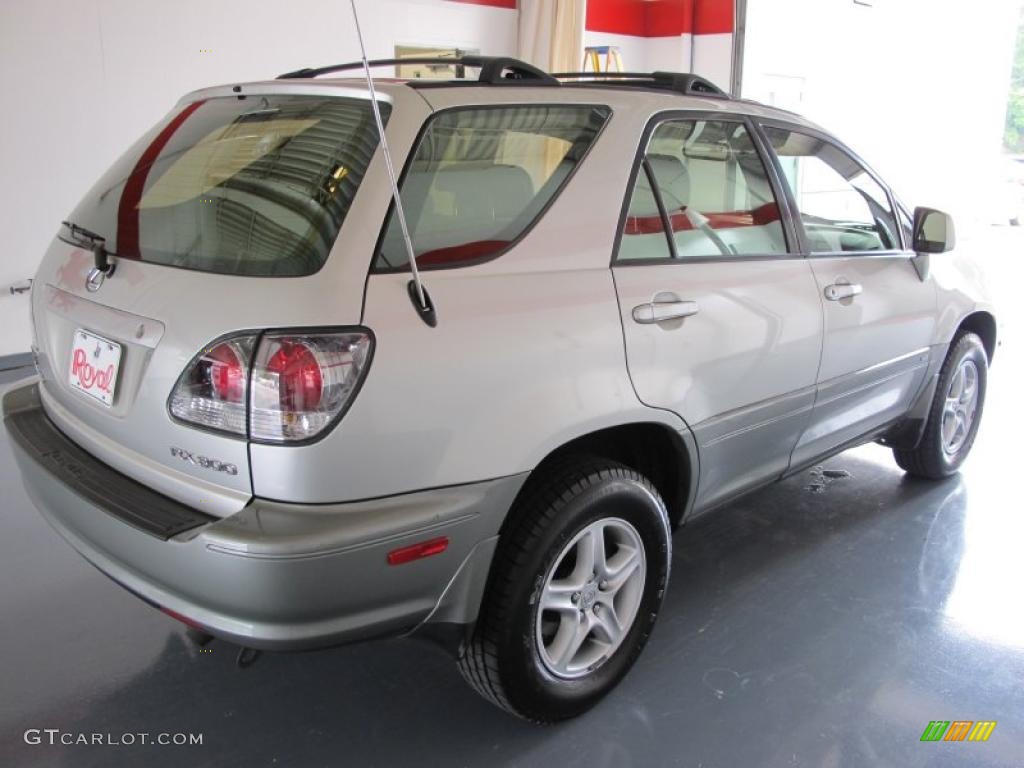 2003 RX 300 - Millenium Silver Metallic / Black photo #6