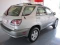 Millenium Silver Metallic - RX 300 Photo No. 6