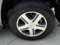 Graystone Metallic - TrailBlazer LT Photo No. 16
