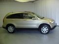 Borrego Beige Metallic - CR-V EX-L 4WD Photo No. 3