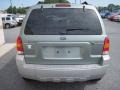 2007 Titanium Green Metallic Ford Escape Hybrid 4WD  photo #8