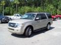 Pueblo Gold Metallic - Expedition XLT Photo No. 1