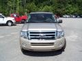 Pueblo Gold Metallic - Expedition XLT Photo No. 2