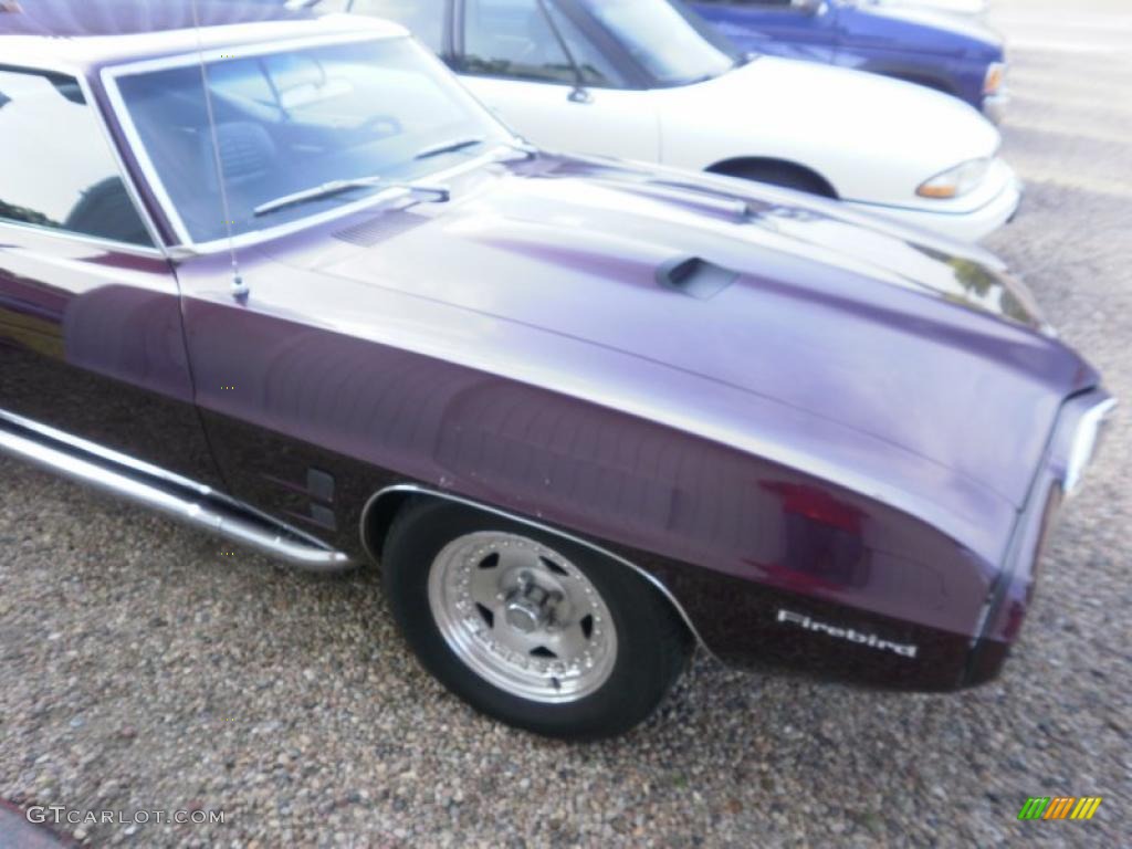 1969 Firebird Coupe - Royal Purple Metallic / Black photo #26