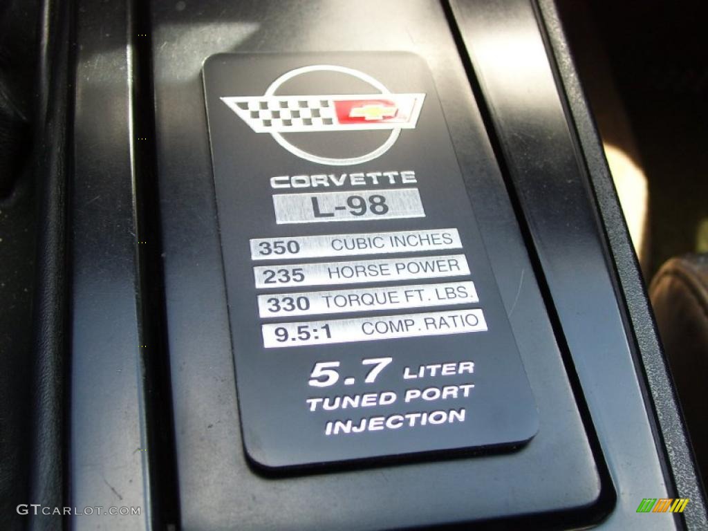 1986 Corvette Coupe - Silver Beige / Bronze photo #8