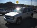 Moondust Metallic - TrailBlazer LS 4x4 Photo No. 16