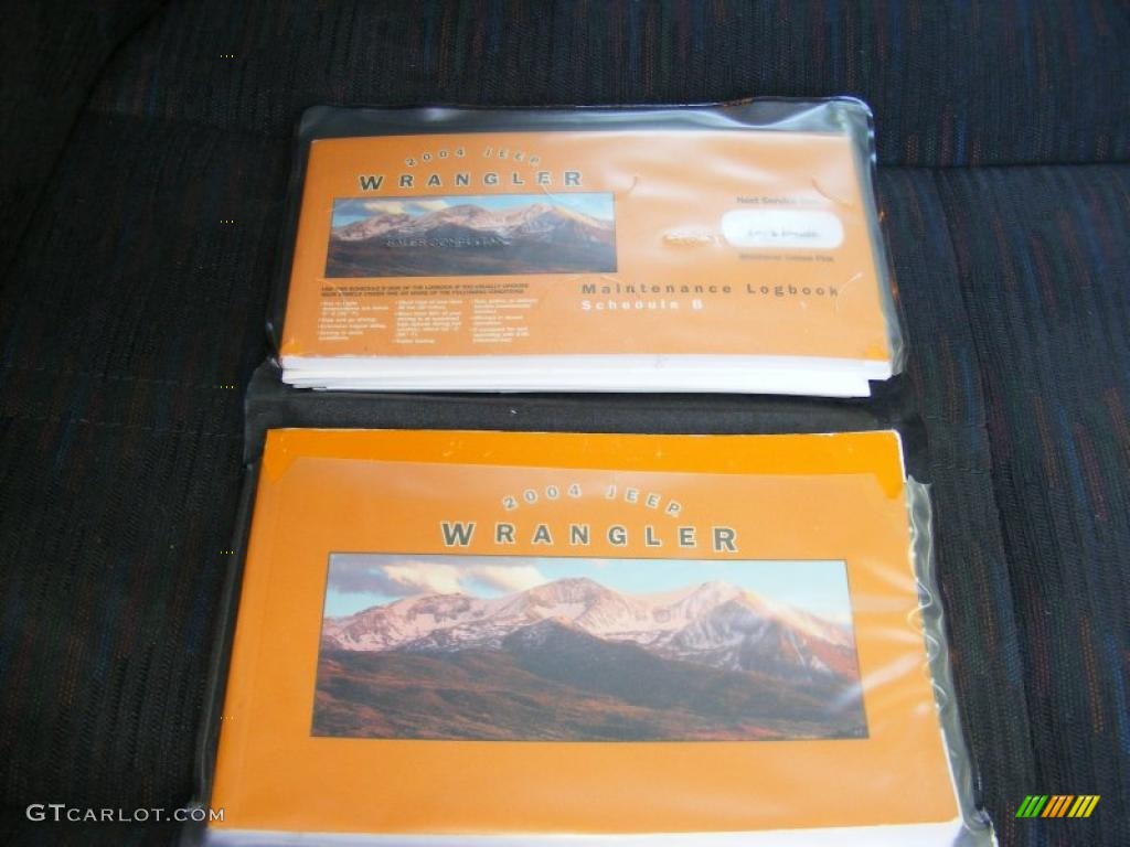 2004 Wrangler X 4x4 - Patriot Blue Pearl / Dark Slate Gray photo #25