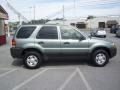 Titanium Green Metallic - Escape XLS Photo No. 17