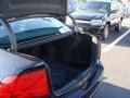 Nighthawk Black Pearl - TL 3.2 Photo No. 21